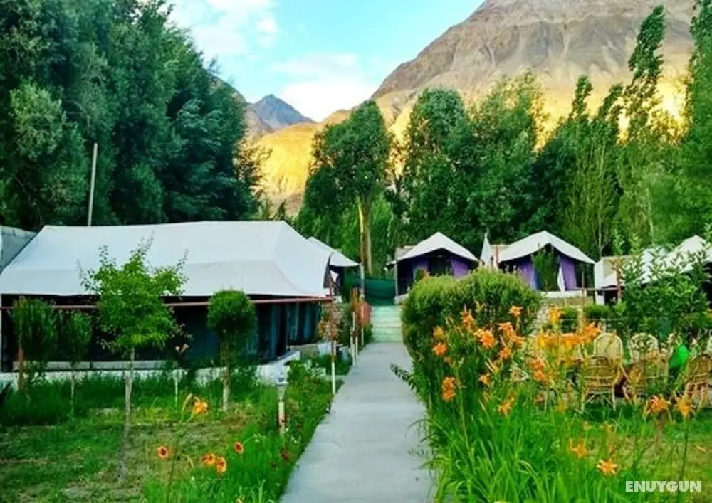 TIH Valley Flower Camp Nubra- Glamping - Öne Çıkan Resim