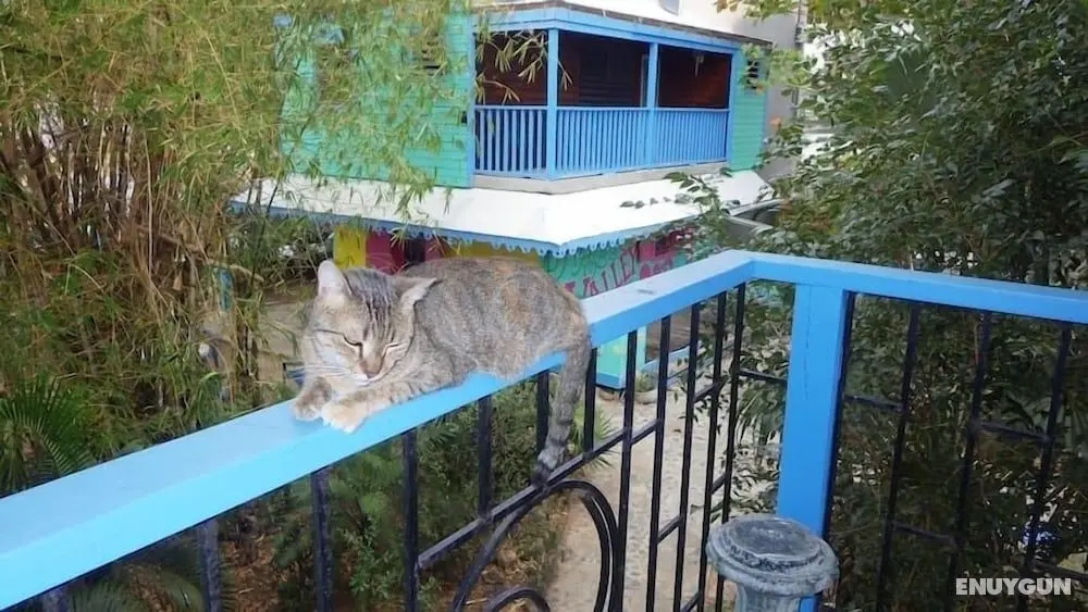 Tillett Gardens Guest House - Öne Çıkan Resim