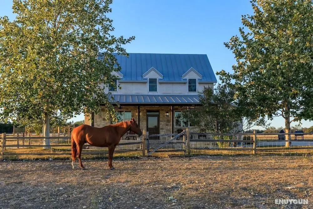 TimberRose B&B - Öne Çıkan Resim