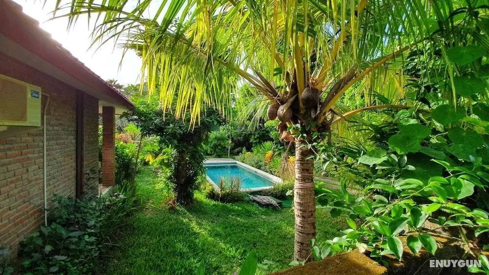 Timbis Homestay Bali - Dış Mekan