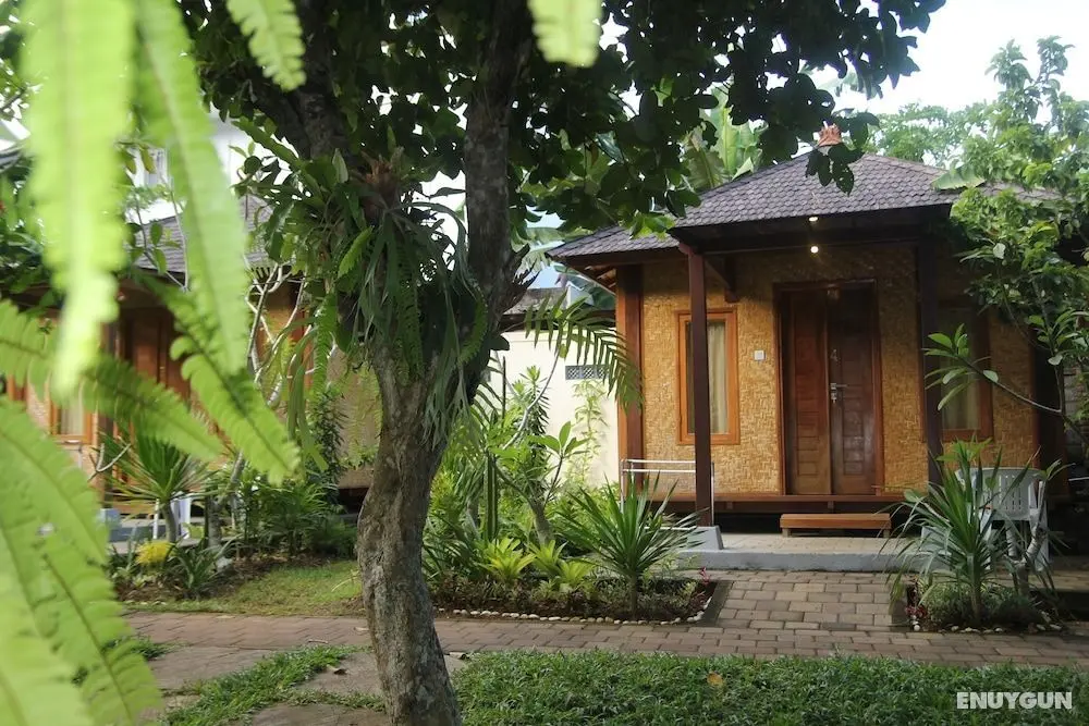 Timbis Homestay Bali - Öne Çıkan Resim