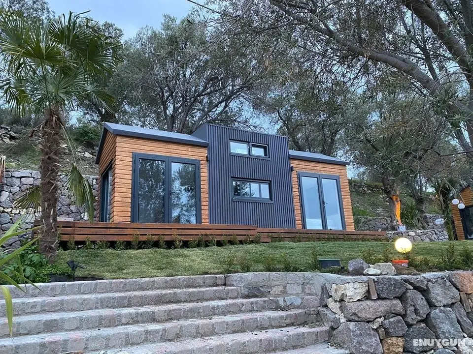 Tiny Bademli - Genel