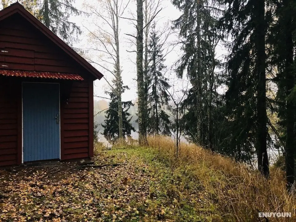 Tiny hut in the Forest Overlooking the River - Dış Mekan