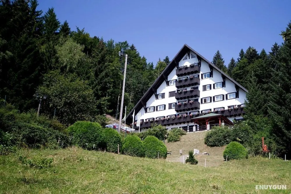 Hotel Tisa - Öne Çıkan Resim
