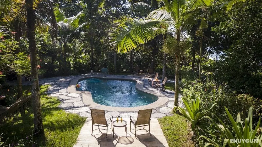 Tiskita Jungle Lodge - Öne Çıkan Resim
