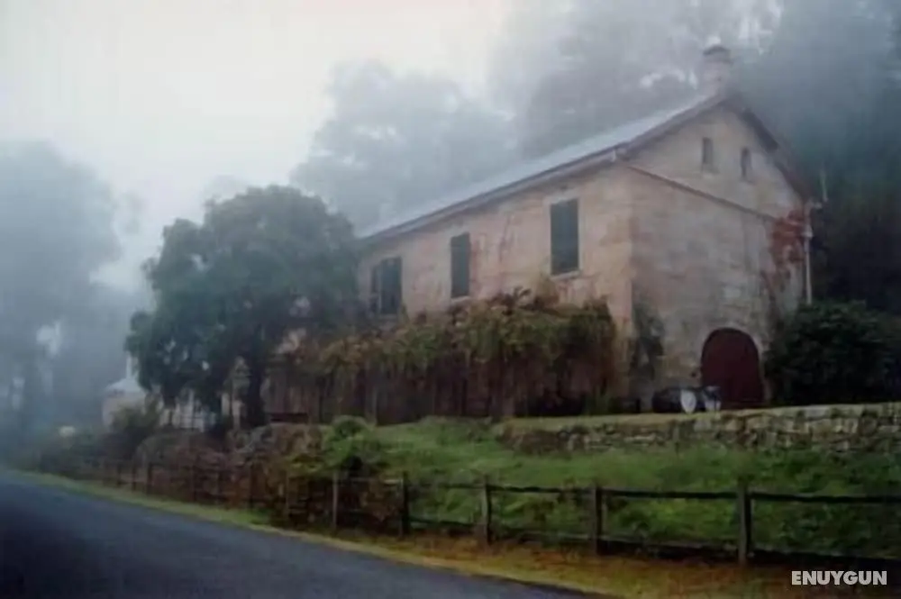 Tizzana Winery Bed & Breakfast - Öne Çıkan Resim