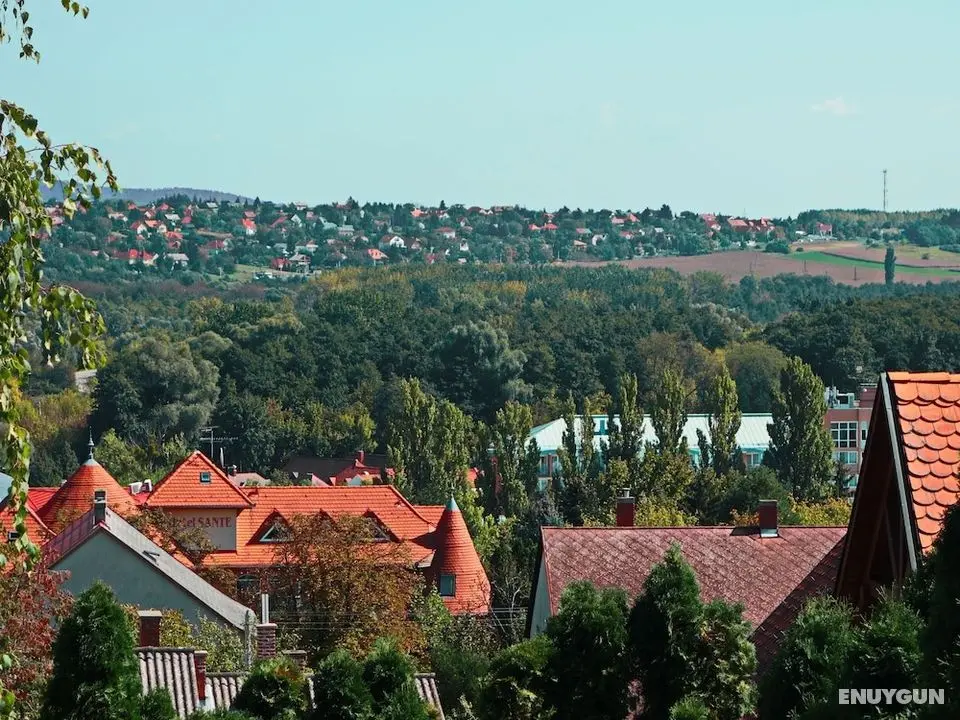 Tolena Heviz Apartments - Oda Manzaraları