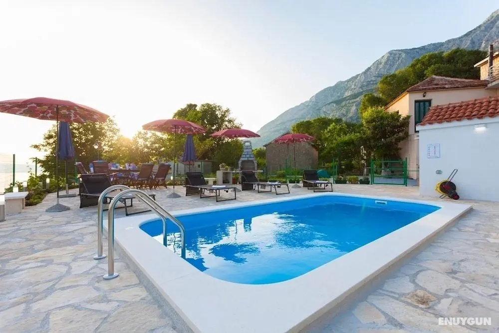 Tonci - Comfortable & Surrounded by Nature - H - Öne Çıkan Resim