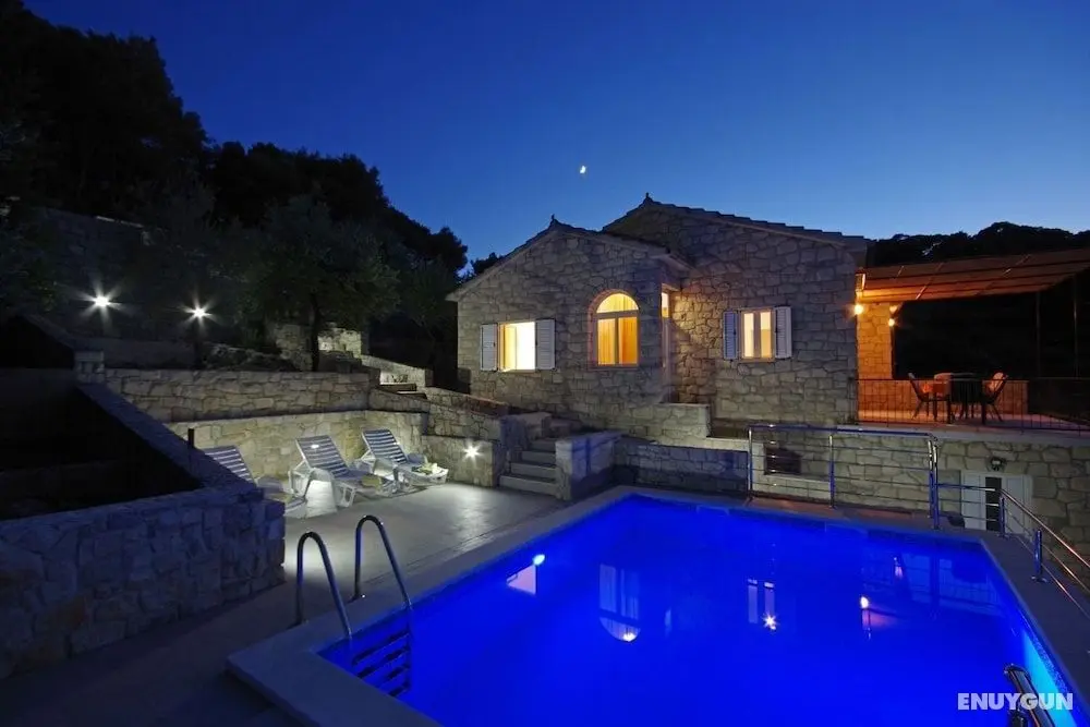 Tonko - Open Pool - H - Öne Çıkan Resim