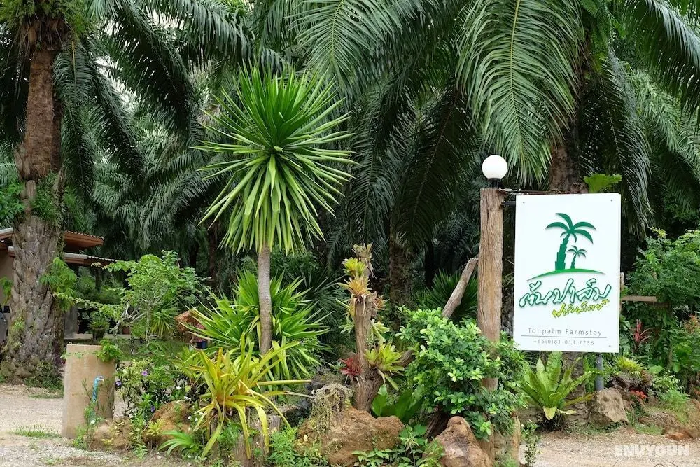 Tonpalm Farmstay - Öne Çıkan Resim