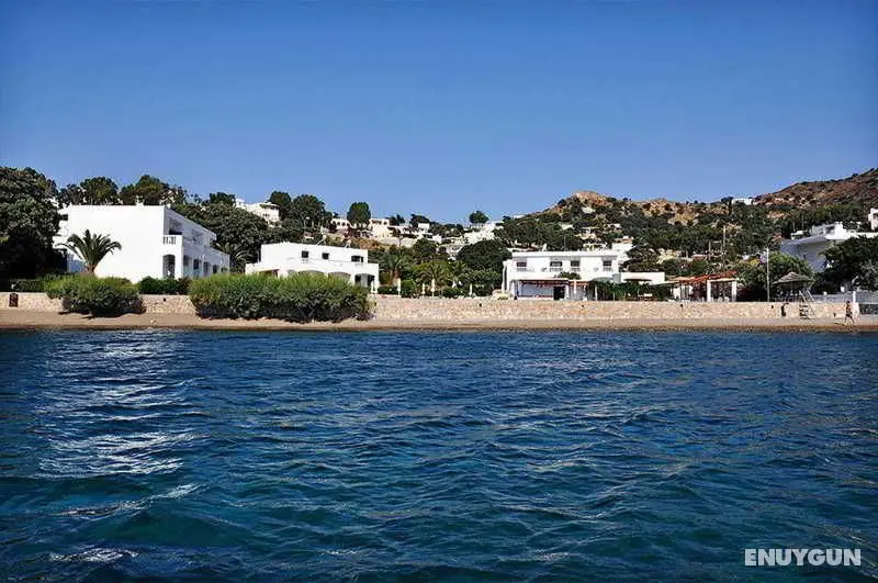 Tony's Beach - Genel