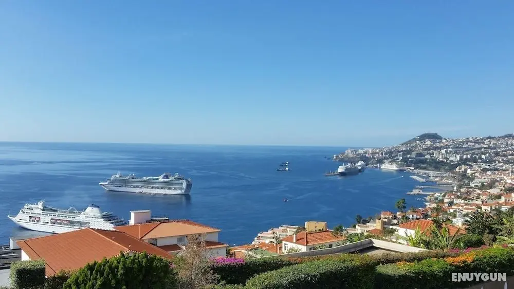 Top Floor with terrace in Funchal - Aktiviteler