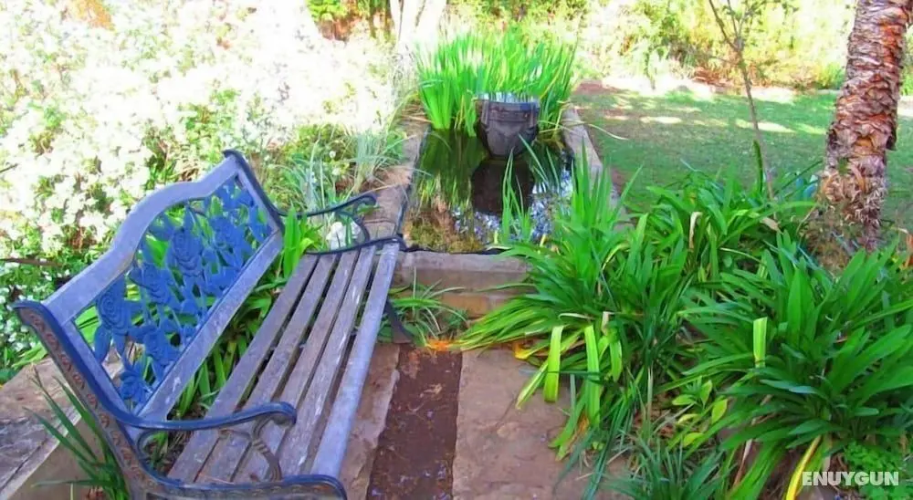 Top House Bed & Breakfast - Öne Çıkan Resim