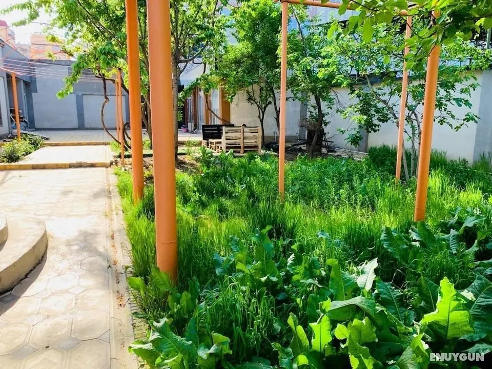 Topchan Hostel Dushanbe - Dış Mekanlar