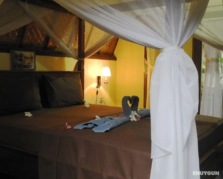 Toro Toro Bungalow - Öne Çıkan Resim