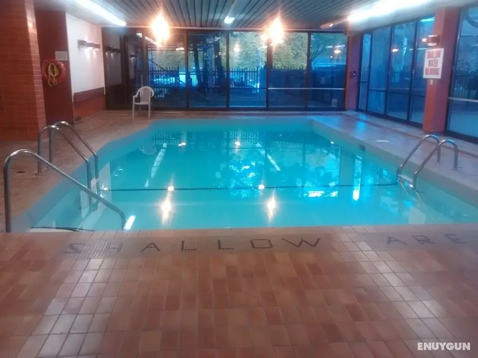 Toronto Furnished Living - Gerard St. E - Öne Çıkan Resim