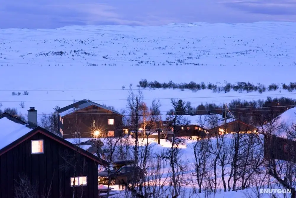 Torsetlia Fjellstue og Hyttegrend - Dış Mekan
