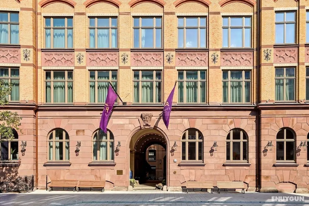 Tortue Hamburg - Öne Çıkan Resim