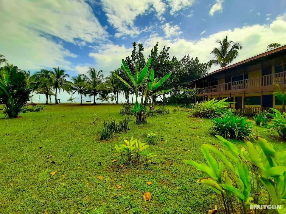 Hotel Tortuguero Beachfront - Oda Manzaraları