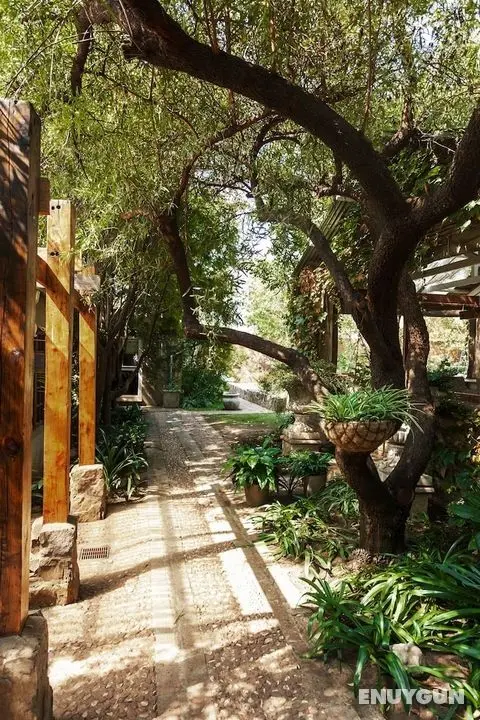 Town and Country Guest House - Öne Çıkan Resim