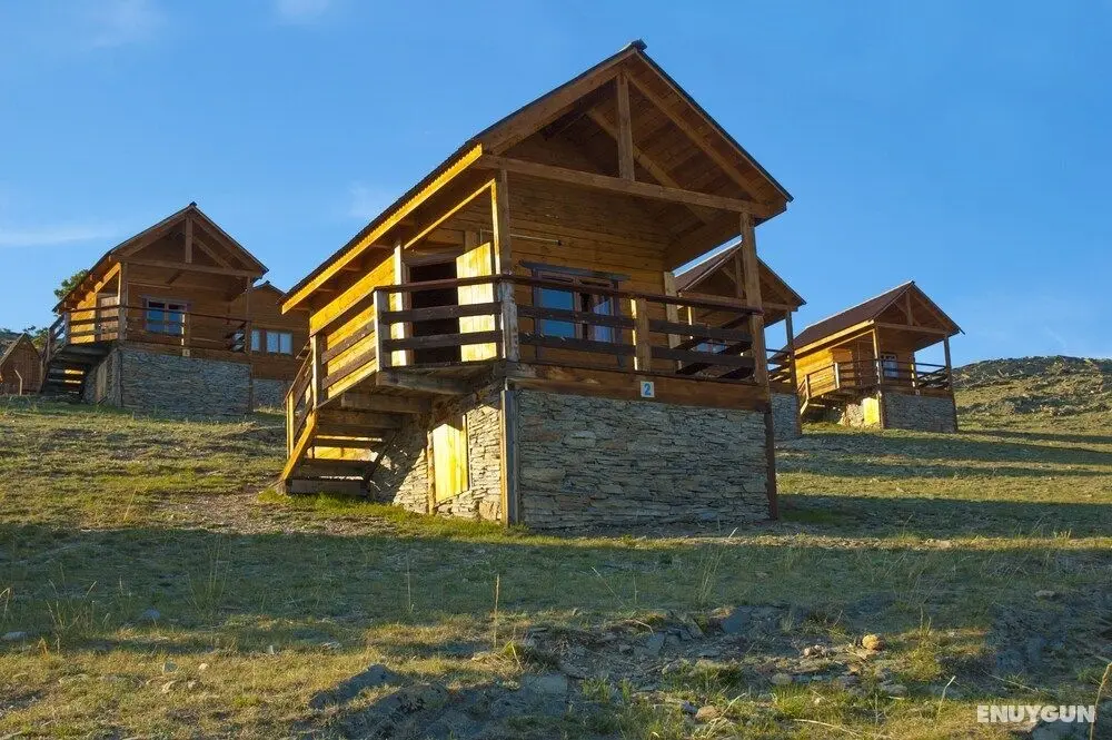 Toynak - Guest Houses - campsite - Öne Çıkan Resim