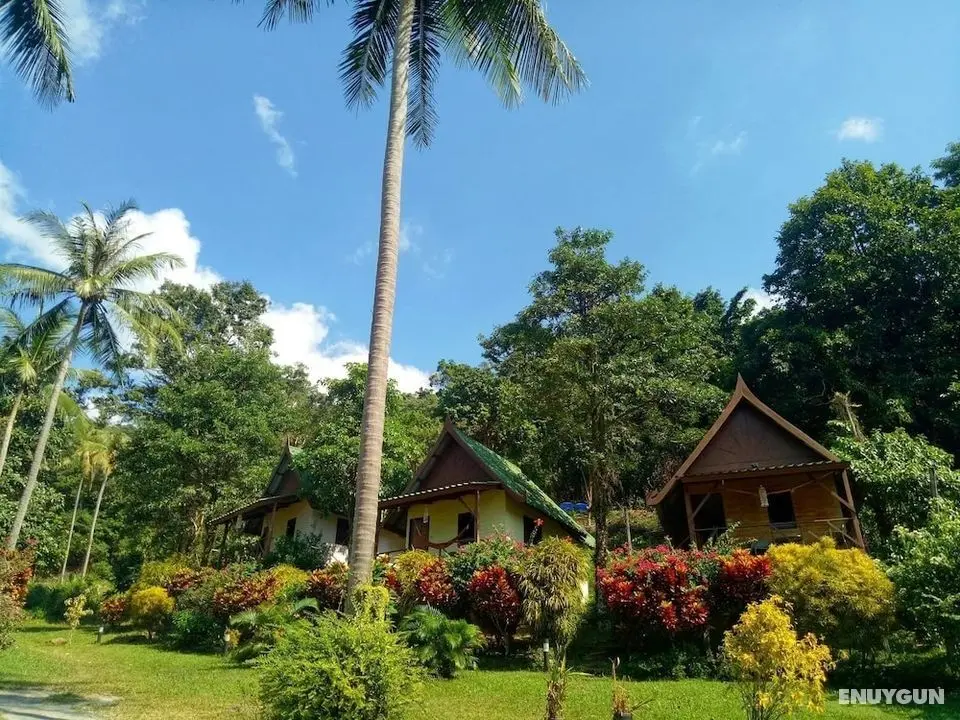 tp hut bungalows - Öne Çıkan Resim