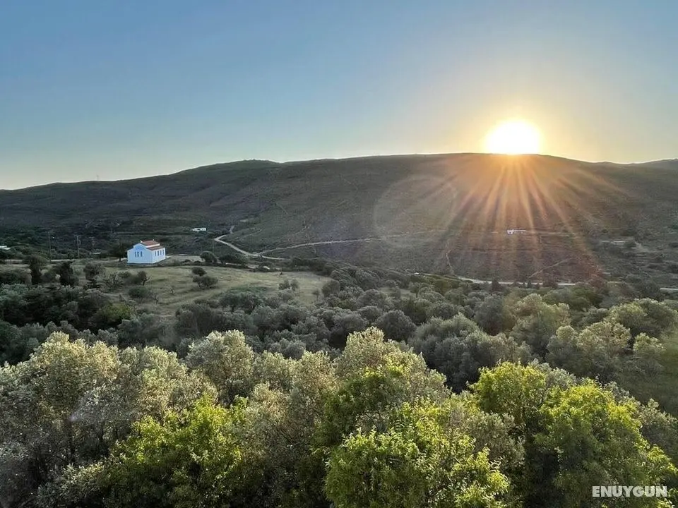 Traditional Cottage in Andros Cyclades Greece - Dış Mekan