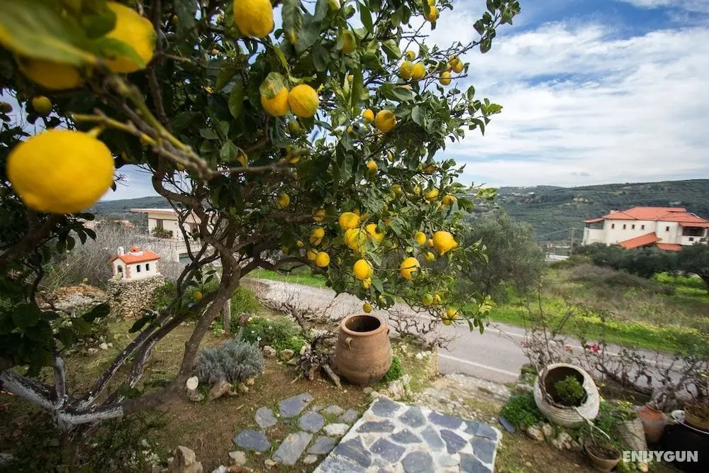 Traditional Cretan Family Home - Oda Manzaraları