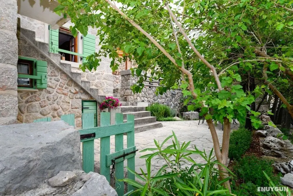 Traditional Stone House Adrian - Dış Mekan