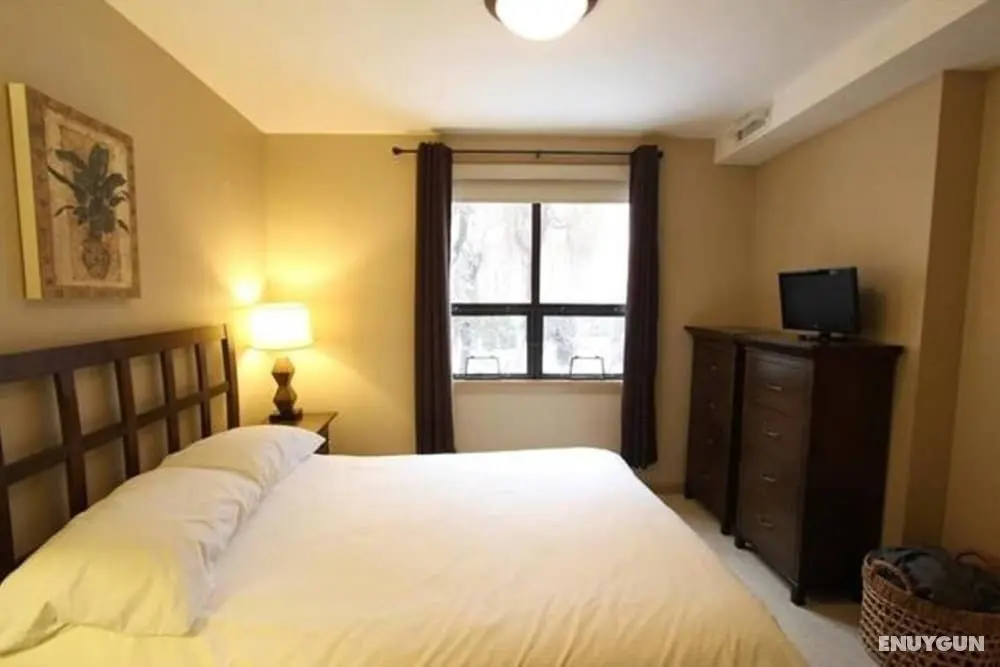Tranquil Apartment Overlooking Creek #244 - Öne Çıkan Resim
