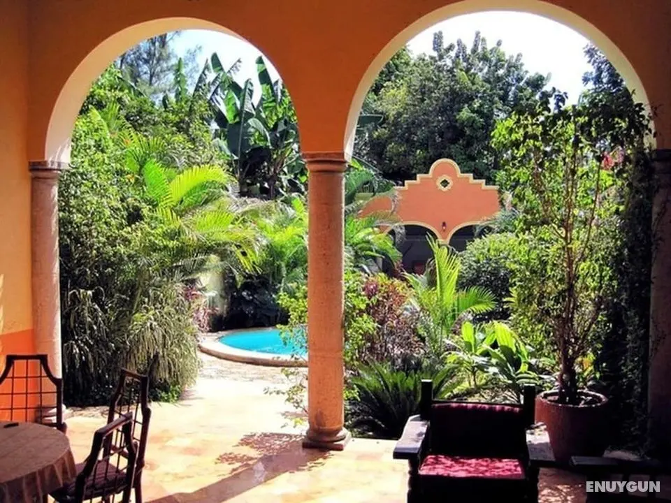 Tranquil Tropical Oasis in the Historic Center - Öne Çıkan Resim
