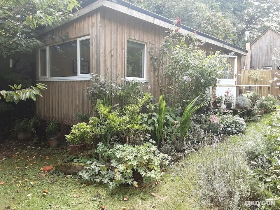 Tranquil Wood Cabin set in a Beautiful Orchard - Dış Mekan