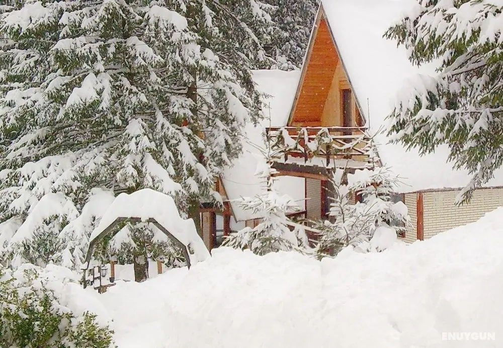 Traveland Butique Resort Poiana Brasov - Öne Çıkan Resim