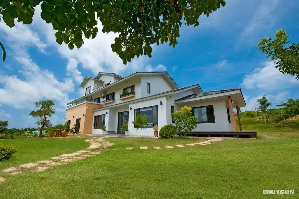 The Tree Bed and Breakfast - Öne Çıkan Resim