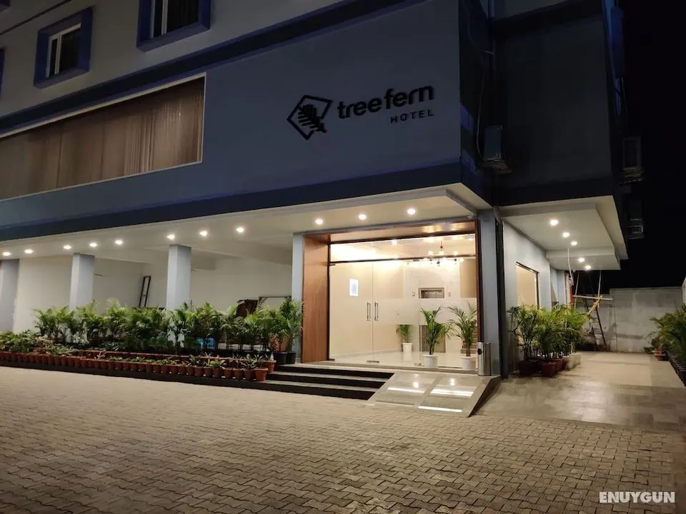 Hotel Tree Fern - Öne Çıkan Resim