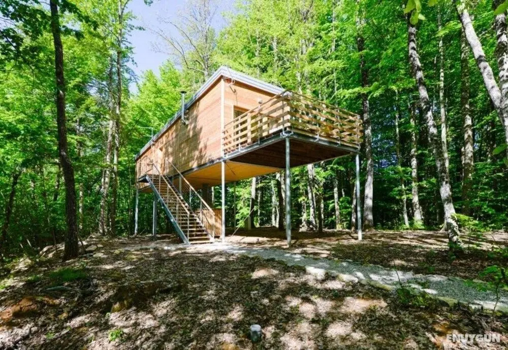 Tree House Lika With Whirlpool - Öne Çıkan Resim