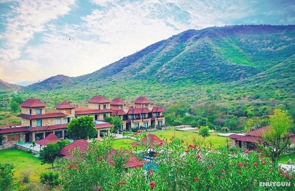 Tree of Life Resort, Udaipur - Öne Çıkan Resim