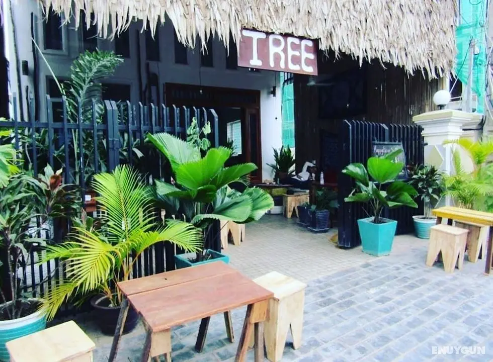 Tree Siem Reap Apartments - Öne Çıkan Resim