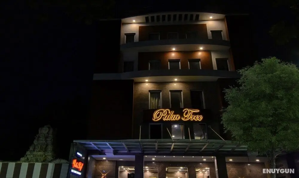 Treebo Trend Palm Tree - Dış Mekan