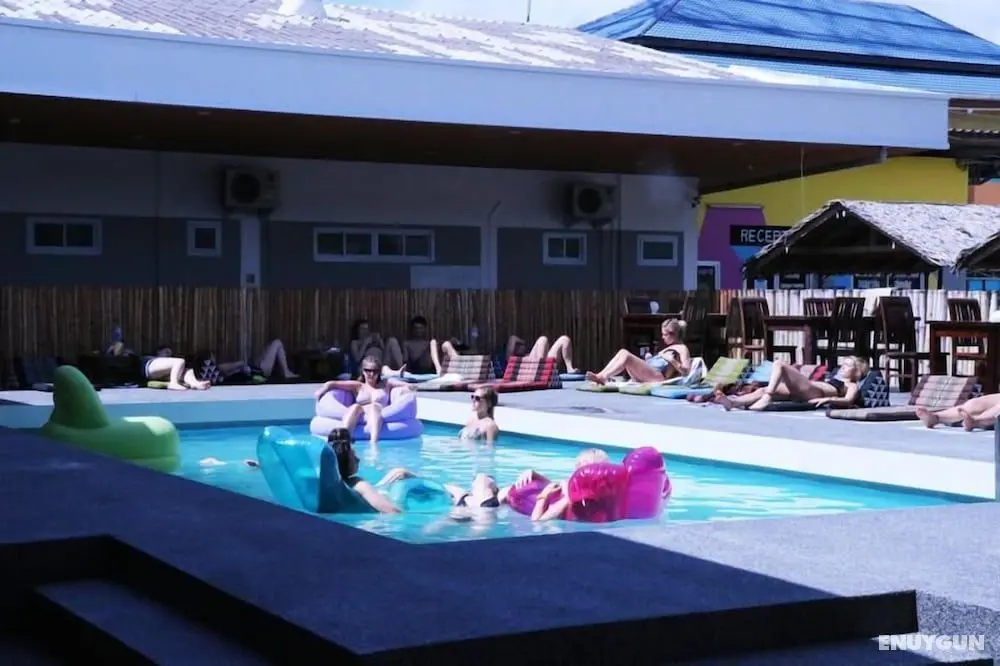 Treechart Hostel - Öne Çıkan Resim