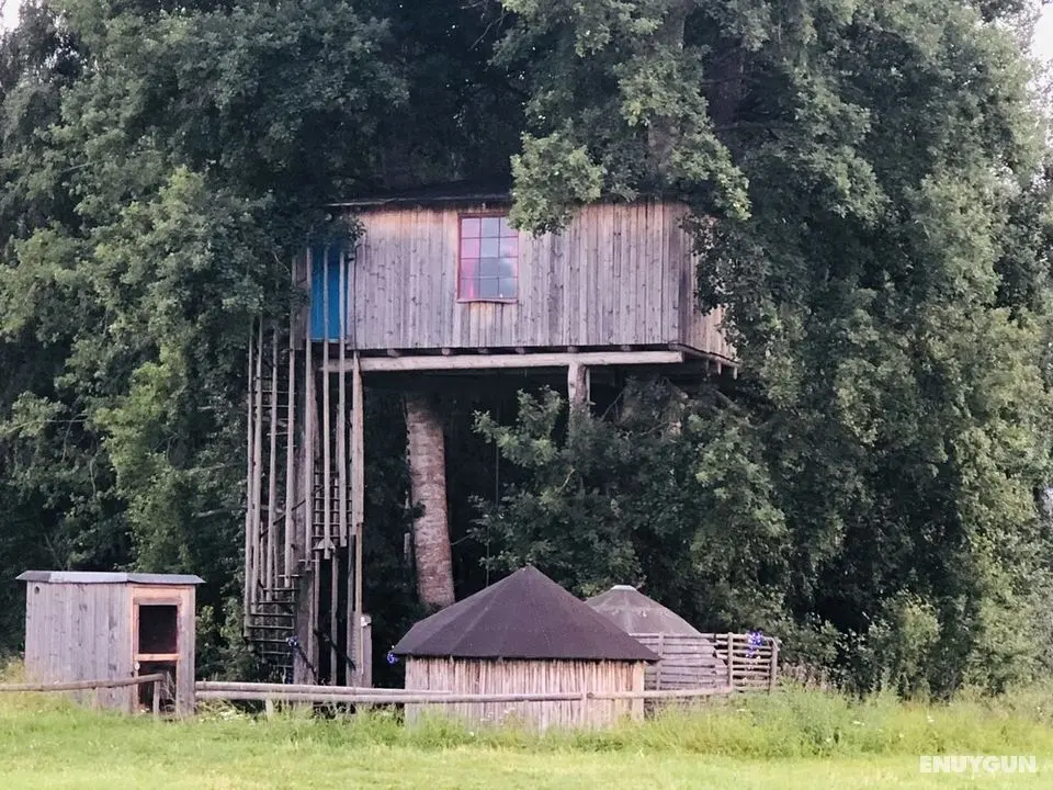 Treehouse Magpies Nest With Bubble Pool - Öne Çıkan Resim