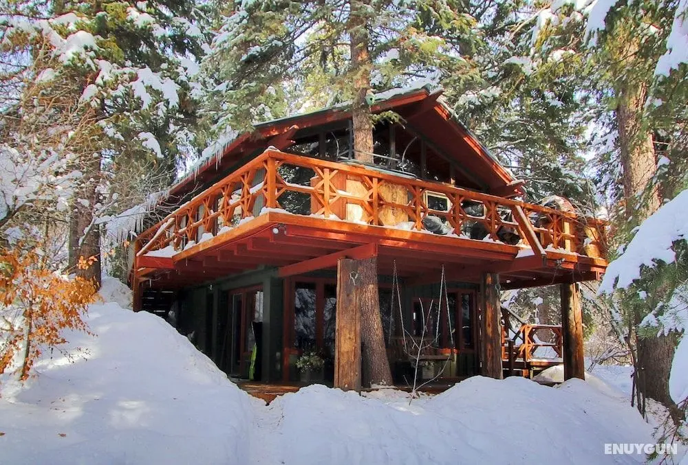 Treehouse by the Stream - Öne Çıkan Resim