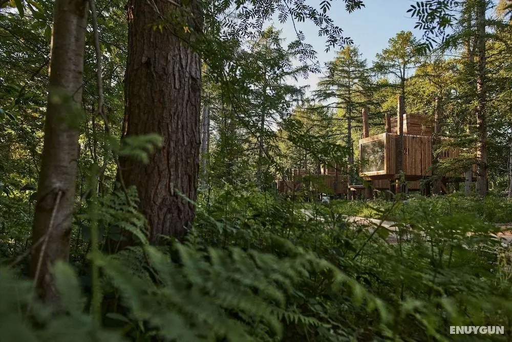 Treeloft Adventure in Nature for 4 People 13 - Öne Çıkan Resim