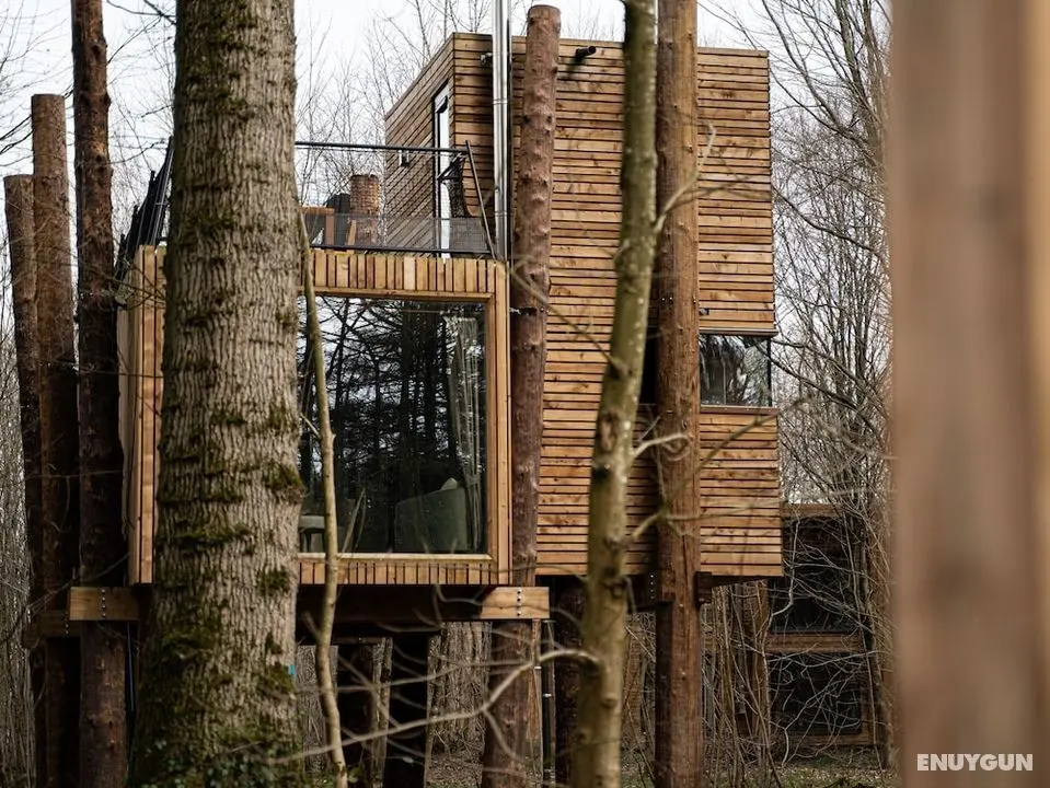Treeloft Adventure in Nature for 4 People 17 - Dış Mekan