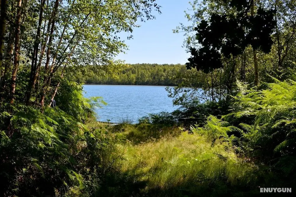 Treeloft Adventure in Nature for 4 People 17 - Öne Çıkan Resim