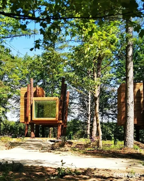 Treeloft Adventure in Nature for 4 People 7 - Öne Çıkan Resim