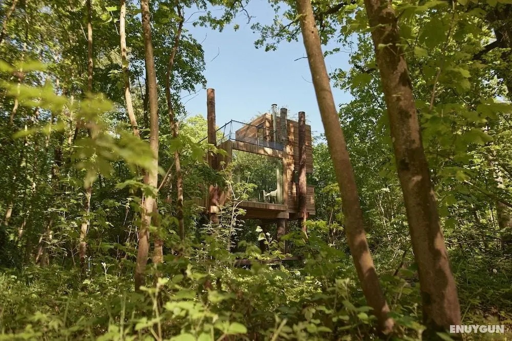 Treeloft Adventure in Nature for 4 People 8 - Öne Çıkan Resim