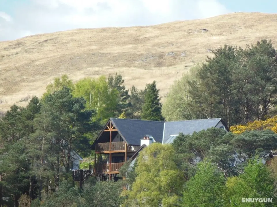 Treetops B&B - Öne Çıkan Resim
