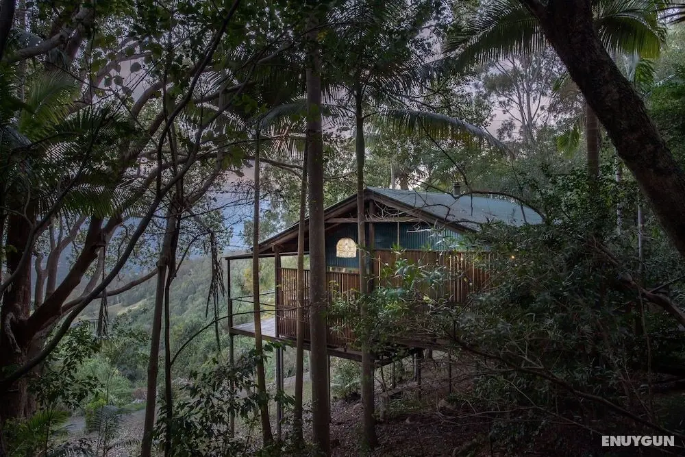 Treetops Seaview Montville - Öne Çıkan Resim