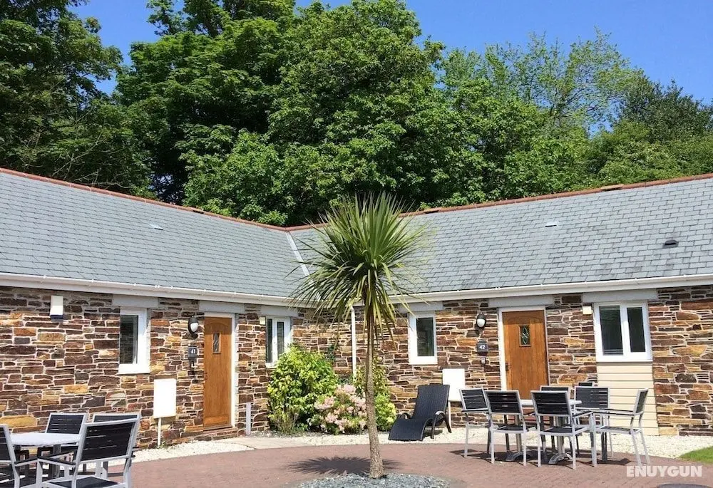 Trewhiddle Cottage 42 - Öne Çıkan Resim